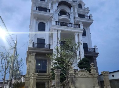 thiet-ke-biet-thu-tan-co-dien