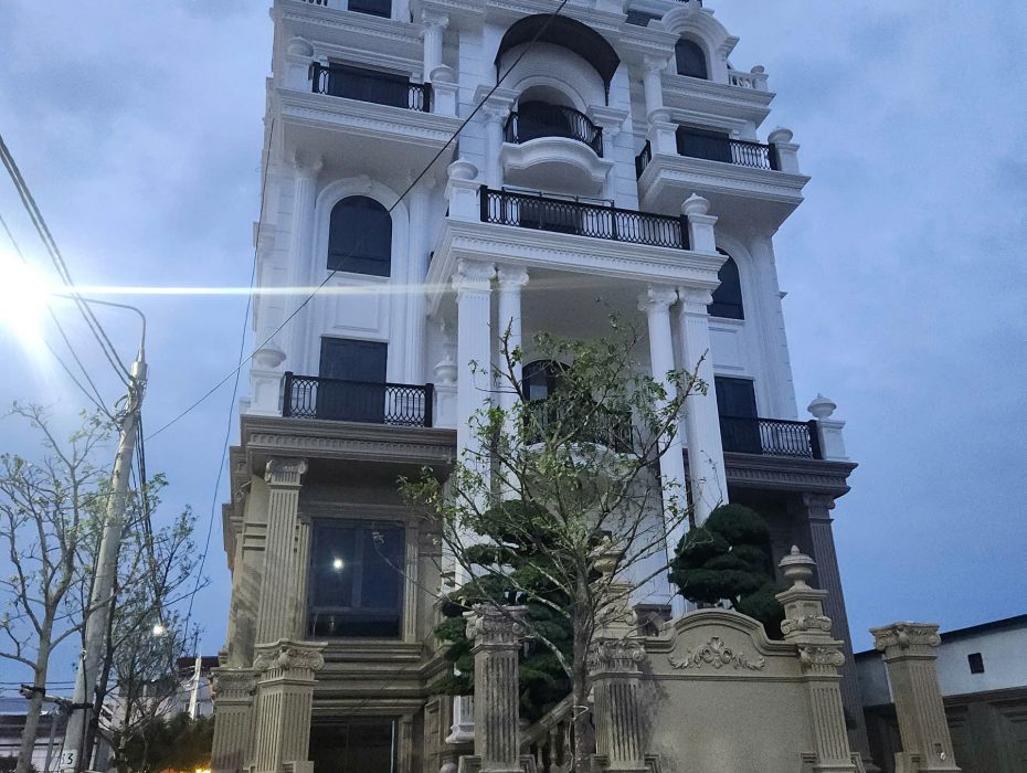 thiet-ke-biet-thu-tan-co-dien